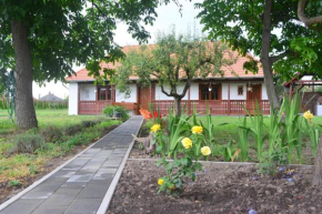 Hotels in Mezőcsáti